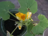 BILD9673.webp