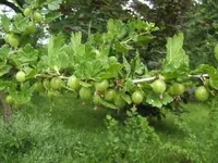 BILD9641.webp
