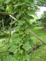 BILD9642.webp