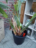 IMG_20180525_210823.webp