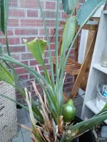 IMG_20180525_210832.webp