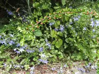BILD9665.webp