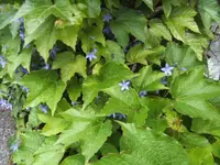 BILD9667.webp
