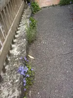 BILD9668.webp