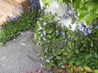 BILD9669.webp