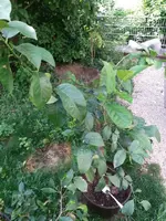 Resized_20180519_102743_3184.webp