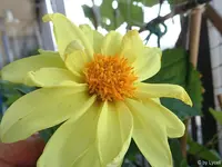 c045.webp