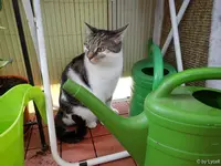 c051.webp