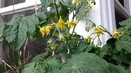 20180525_173157.webp