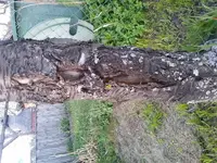 20180423_202805.webp