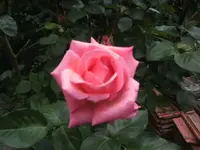 BILD9658.webp
