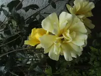 BILD9662.webp