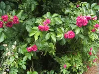 BILD9672.webp
