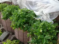 P1130479.webp P1130479.webp