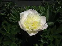 007_1024x768.JPG