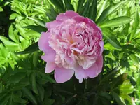 008_1024x768.JPG