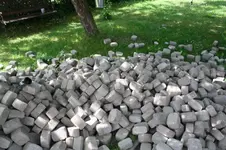 Garten Mai 47.jpg