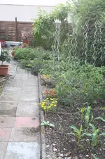 Garten Mai 45.webp