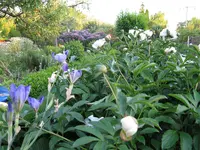 IMG_6158.webp
