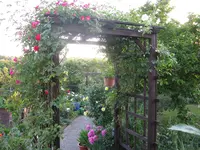 IMG_6154.jpg
