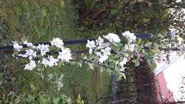 20180426_183331-1.webp