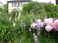 Blumenbeet.webp