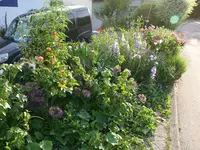Blumenbeet1 (8).webp