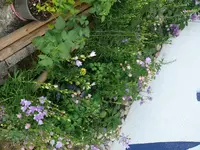 P1130443.webp