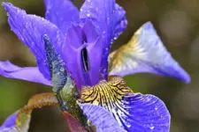 image001.webp