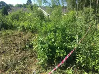 EAF07B1B-73BA-4610-9403-C2094E6824B9.webp EAF07B1B-73BA-4610-9403-C2094E6824B9.webp