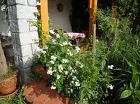 DSC02985.webp