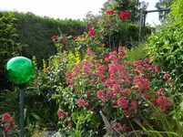 DSC02991.webp