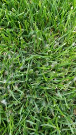 IMG_20180528_072057.webp