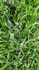 IMG_20180528_072107.webp