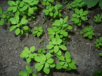 DSCN7836.webp