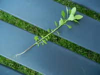 DSCN7830.webp