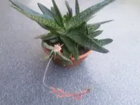 20180522_091556.webp