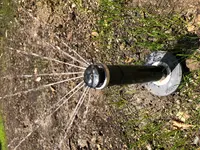 rainbird.webp