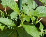 20180528_200853.jpg