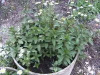 BILD9622.webp