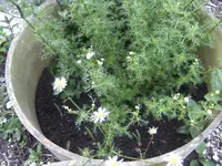 BILD9623.webp