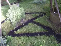 BILD9611.webp