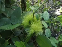 BILD9676.webp