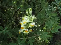 BILD9679.webp