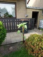 test.webp