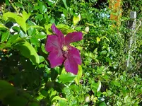 DSC03003.jpg