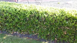 20180521_200554_resized.webp