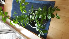 20180529_124948.webp
