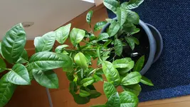 20180529_124956.webp