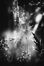 0M3A4728.webp